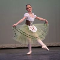 Russian Ballet Academy, LLC ico