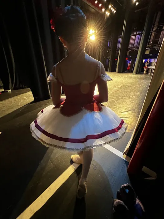 Russian Ballet Academy, LLC Picture 5