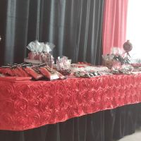 Y W C A of Elyria ico