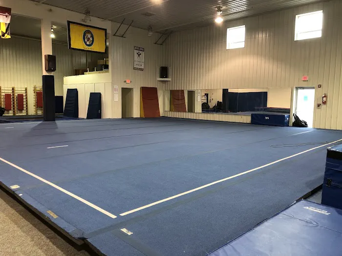 Elite Gymnastics & Recreation Center Picture 10