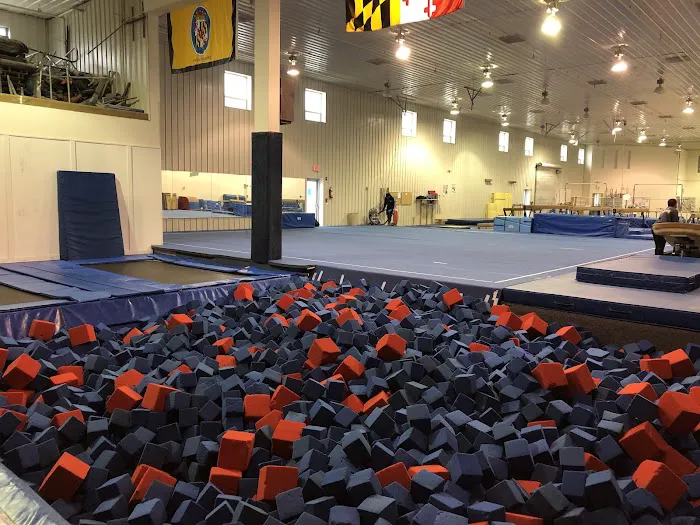 Elite Gymnastics & Recreation Center Picture 9