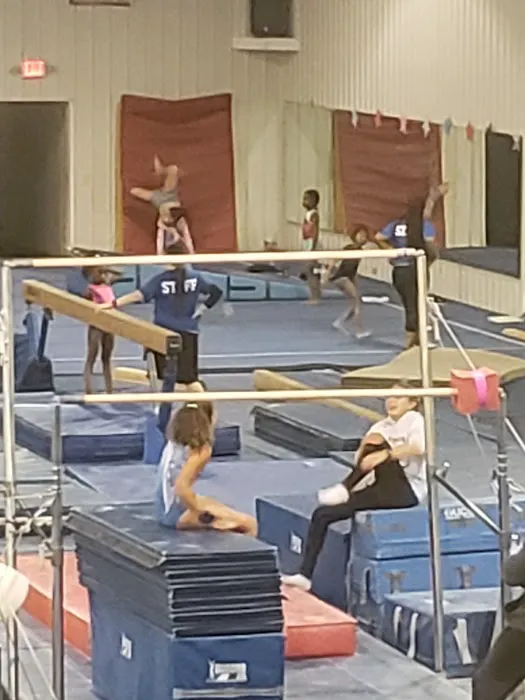 Elite Gymnastics & Recreation Center Picture 6