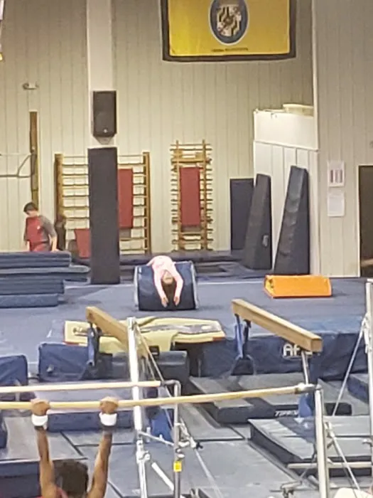 Elite Gymnastics & Recreation Center Picture 1