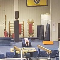 Elite Gymnastics & Recreation Center ico