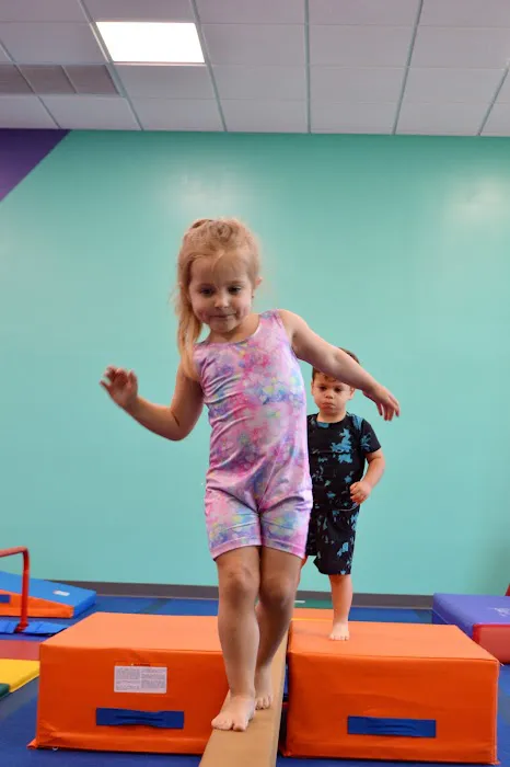 The Little Gym of Port Saint Lucie Picture 3