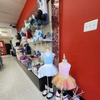Barre and Pointe - a dancer's shop ico
