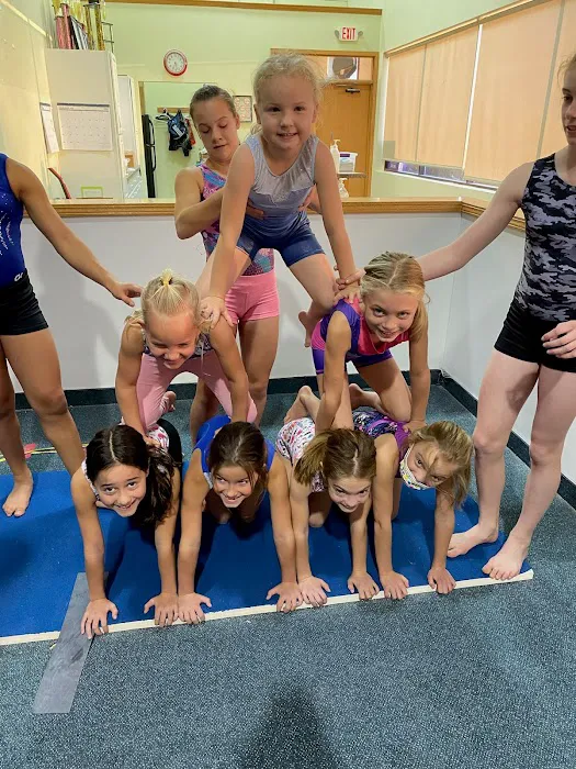 Revolution Gymnastics Buffalo Picture 5