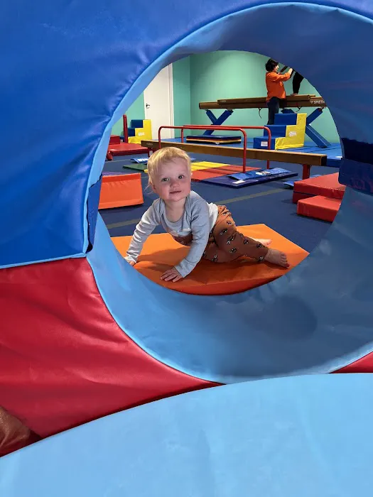 The Little Gym of Louisville, CO Picture 1