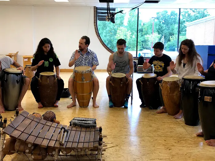 The Michigan Center for Capoeira Picture 1