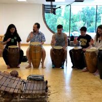 The Michigan Center for Capoeira ico