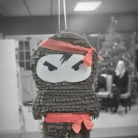 Molalla Striking Arts ico