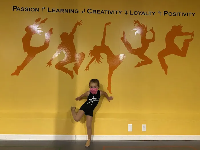 Artists in Motion Performing Arts Theater Picture 1