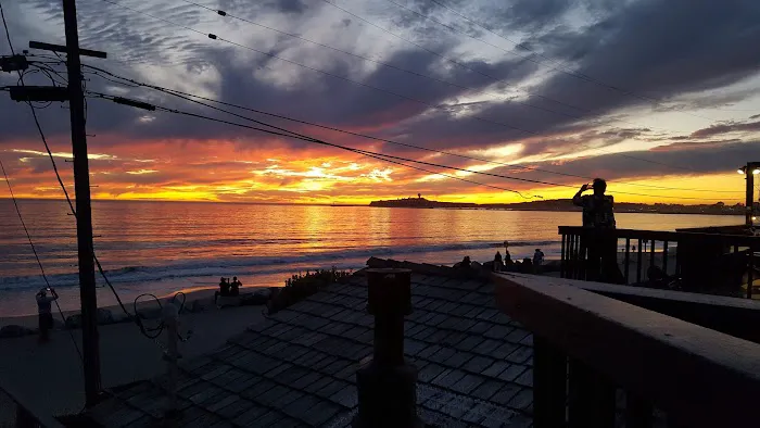 Bach Dancing & Dynamite Society Picture 3