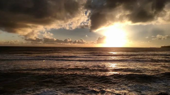 Bach Dancing & Dynamite Society Picture 4