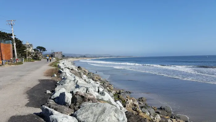 Bach Dancing & Dynamite Society Picture 1