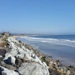 Bach Dancing & Dynamite Society