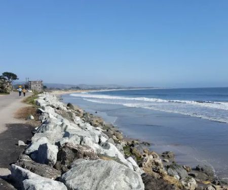 Bach Dancing & Dynamite Society