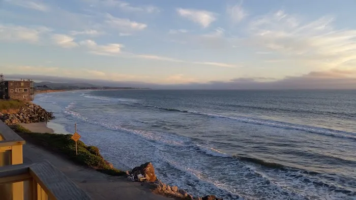 Bach Dancing & Dynamite Society Picture 10