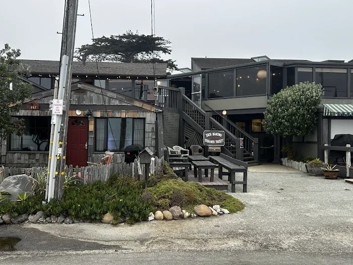 Bach Dancing & Dynamite Society Picture 5