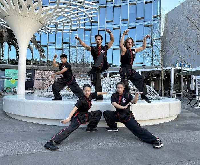 Concord Kung Fu Academy Picture 3