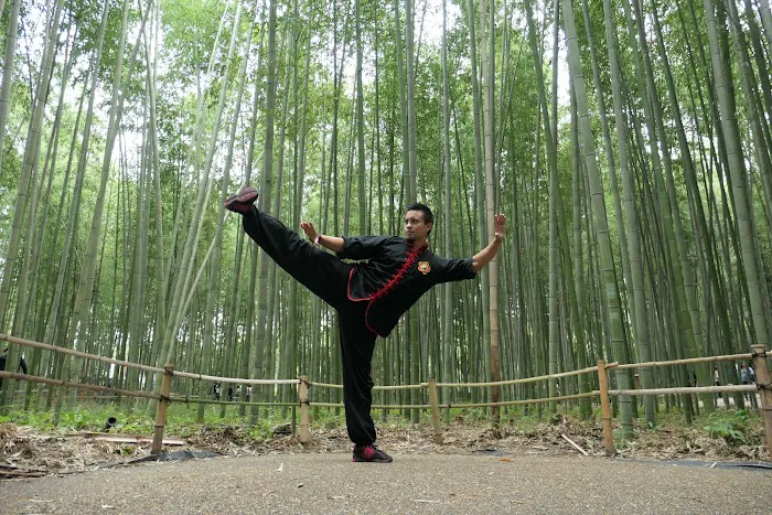 Concord Kung Fu Academy Picture 7