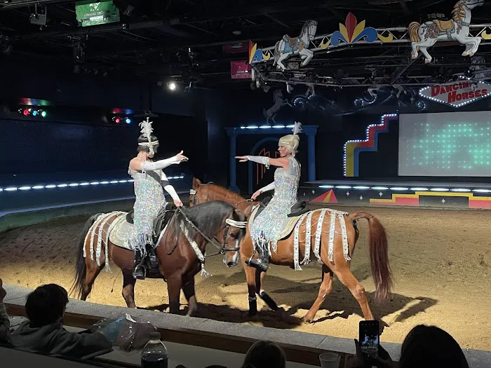 The Dancing Horses Theatre Picture 10