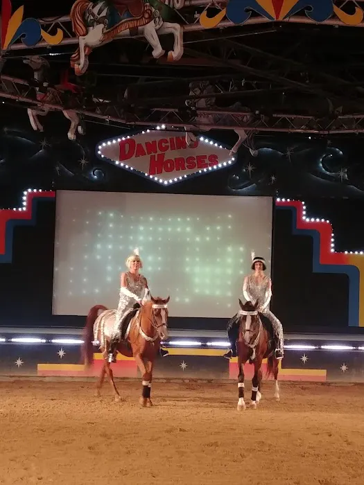 The Dancing Horses Theatre Picture 9