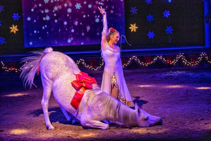 The Dancing Horses Theatre Picture 7