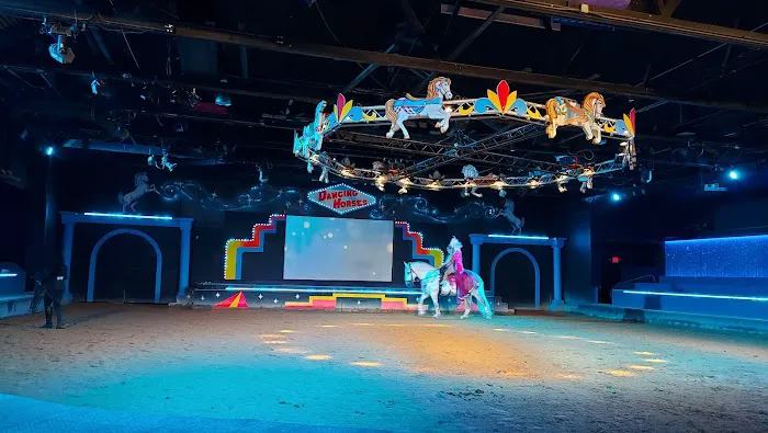 The Dancing Horses Theatre Picture 2