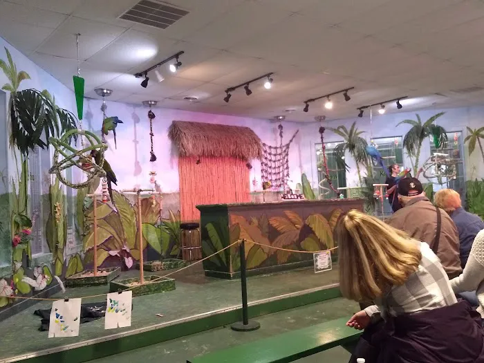 The Dancing Horses Theatre Picture 1