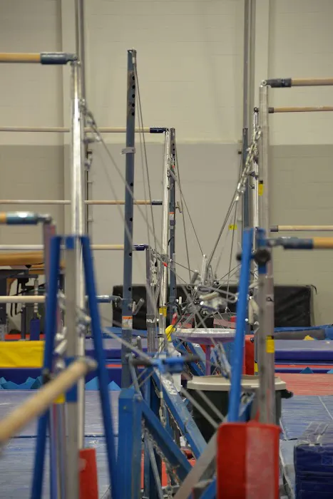 Mini Hops Gymnastics Picture 7