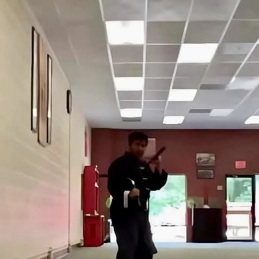 Laughing Dragon Kung Fu Picture 6