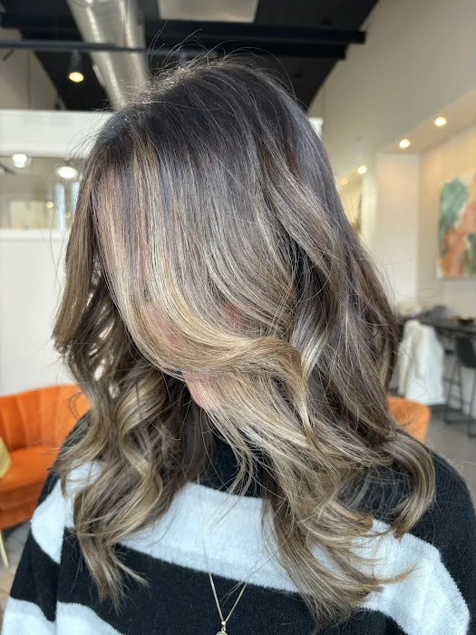 Studio NOVA Picture 6