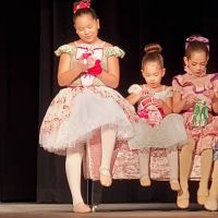 A Step Above School of Performing Arts LLC ico