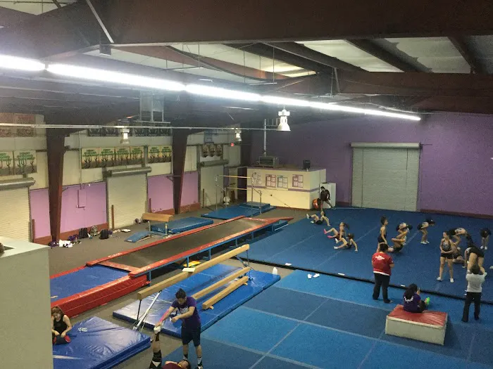 Desert Sky Gymnastics Picture 1