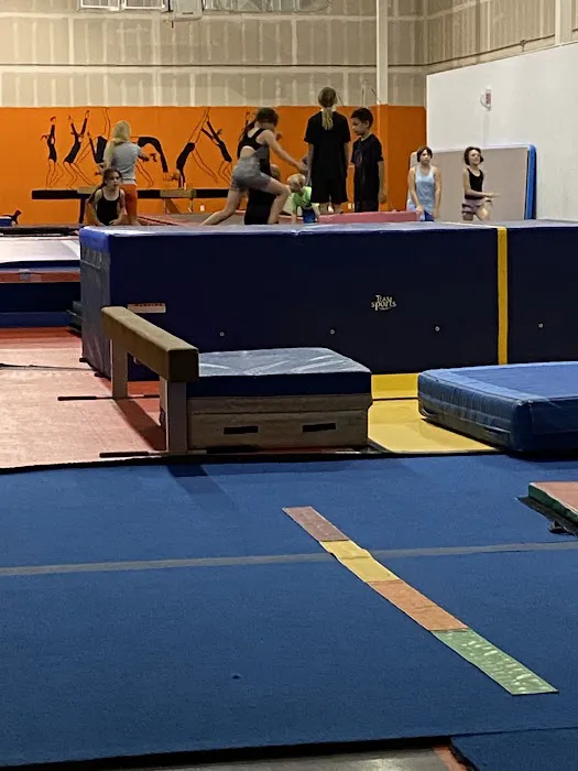 Julian's Parkour & Gymnastics Picture 1