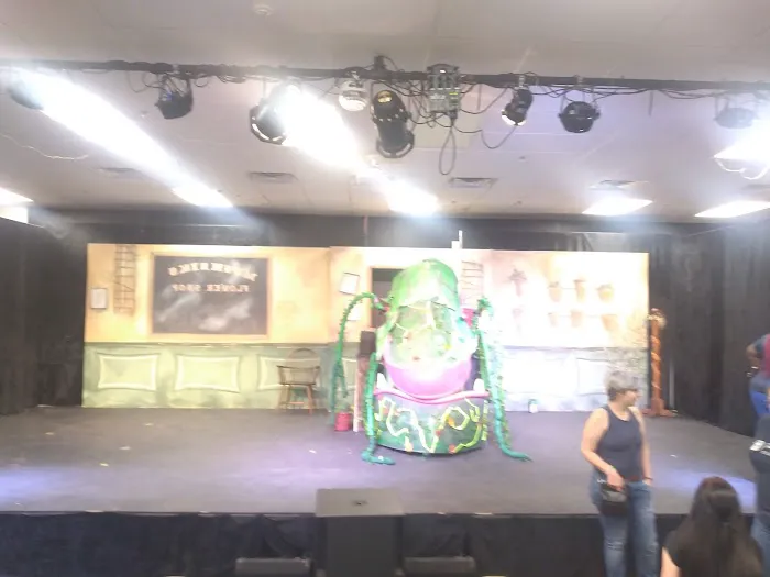 Town Square Playhouse Picture 6
