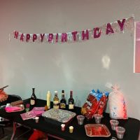 Level Up Fitness and Aerial Artistry ico
