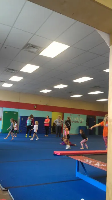 On the Flipside Gymnastics Picture 3