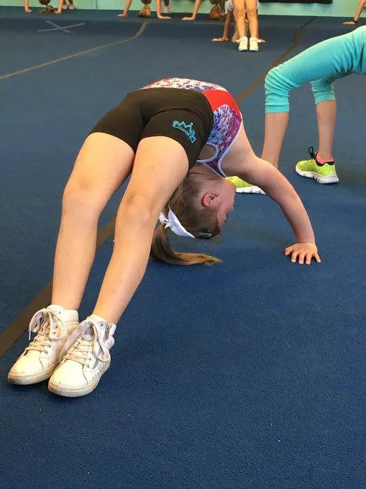On the Flipside Gymnastics Picture 5
