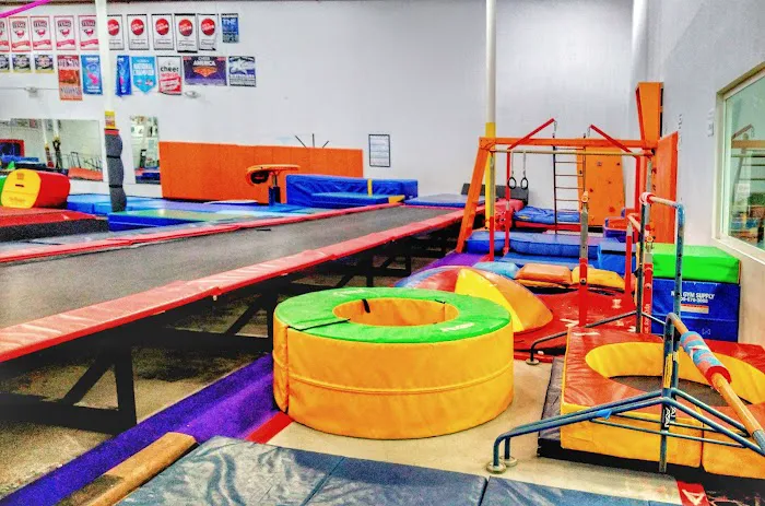 Rogue Athletics Picture 2