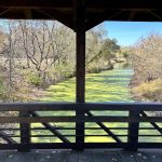 West Medicine Lake Community Club