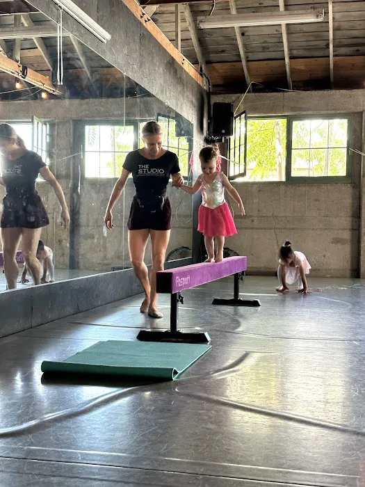 The Studio Performing Technique Dance School Picture 9