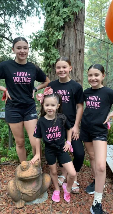 High Voltage Dance Academy Picture 3