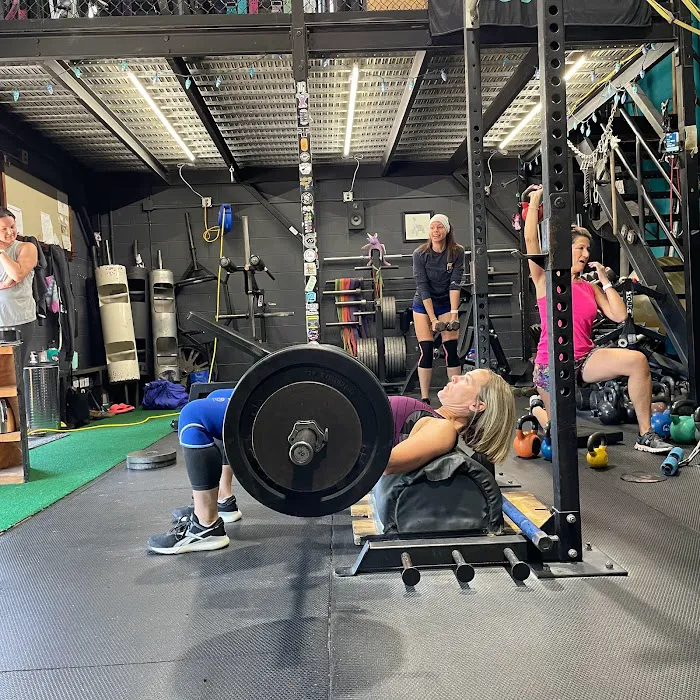 HALE Strength and Shape Picture 5