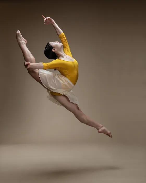 Bay Area Dancewear Picture 9