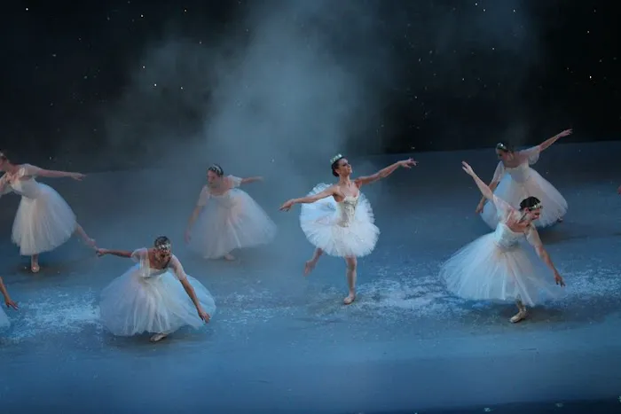 Continental Ballet Company Picture 7