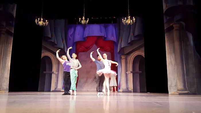 Continental Ballet Company Picture 2