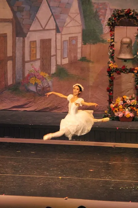 Continental Ballet Company Picture 6