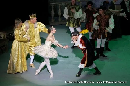Continental Ballet Company Picture 8